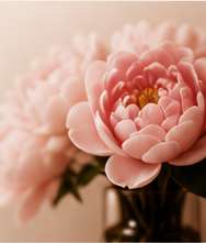 Soft pink flower arrangement in warm light